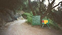 Photograph of Track in Olive Groves