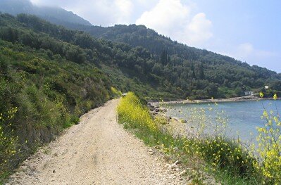 Photograph of track along beach